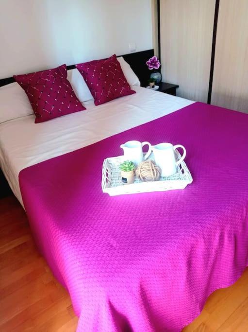 Ferienwohnung Acogedor Apartamento Con Piscina Y Garaje Huesca Exterior foto